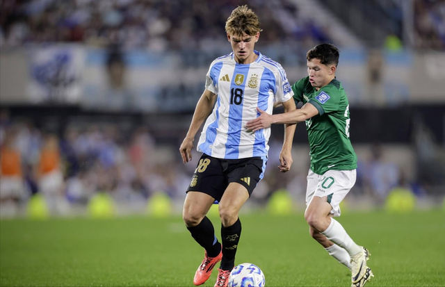 的表现获得 的表现获得